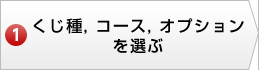 くじ種, コース, オプションを選ぶ