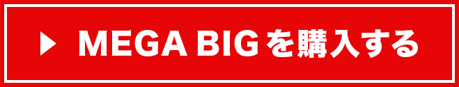MEGA BIG(メガビッグ)を購入する