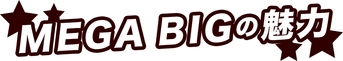 MEGA BIGの魅力