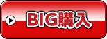 BIG購入