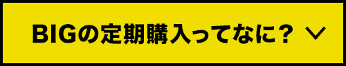 BIGの定期購入ってなに？