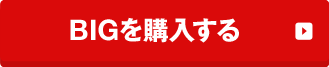 BIGを購入する