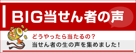BIG当せん者の声