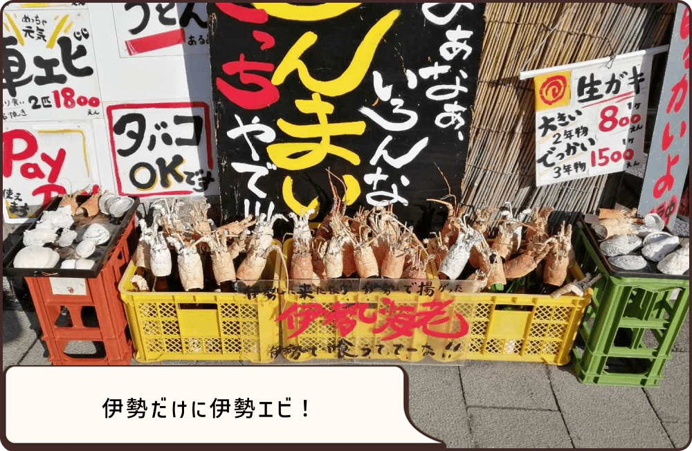 伊勢湾で上がった伊勢海老も売っていました