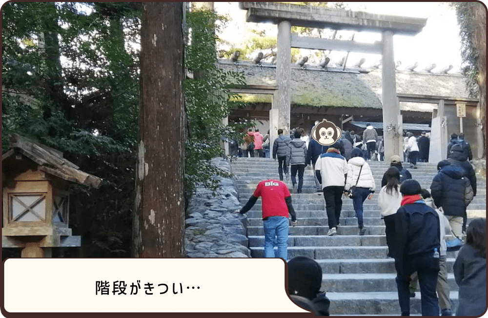 階段を上ります