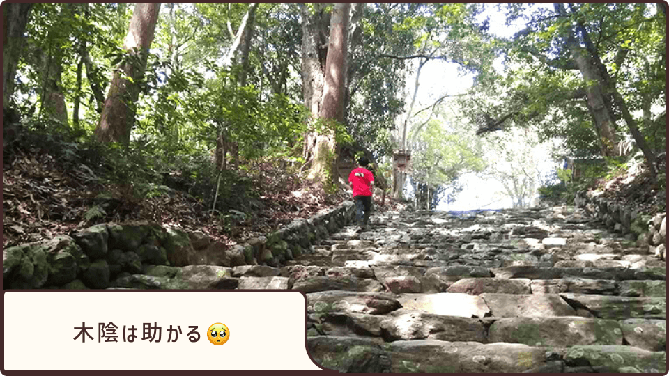 倭姫宮の石階段。夏は木陰が助かります。