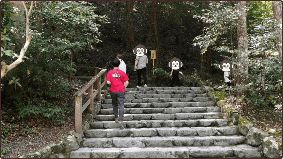 外宮の参道、木々に囲まれた石段を歩きます。